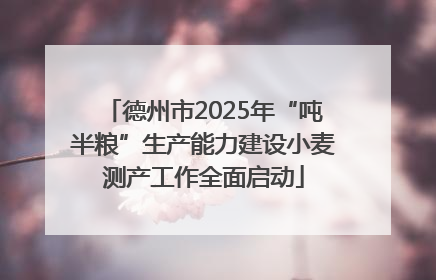 德州市2025年“吨半粮”生产能力建设小麦测产工作全面启动