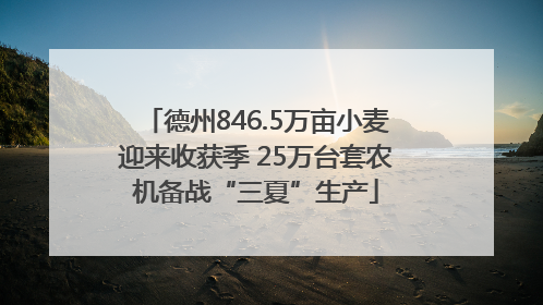 德州846.5万亩小麦迎来收获季 25万台套农机备战“三夏”生产