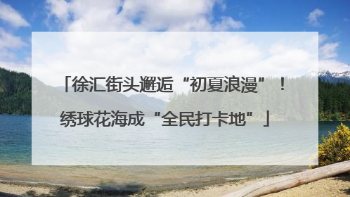徐汇街头邂逅“初夏浪漫”！绣球花海成“全民打卡地”