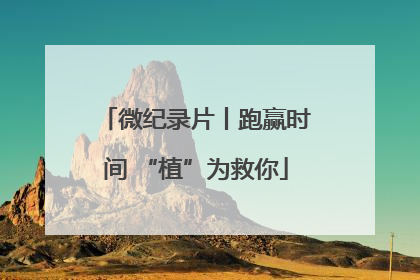 微纪录片丨跑赢时间 “植”为救你
