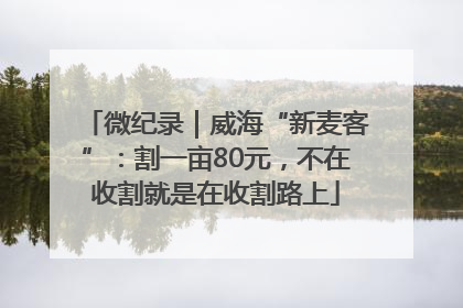 微纪录｜威海“新麦客”：割一亩80元，不在收割就是在收割路上