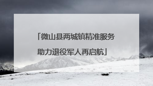 微山县两城镇精准服务助力退役军人再启航