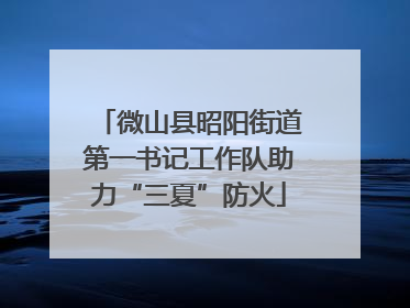 微山县昭阳街道第一书记工作队助力“三夏”防火
