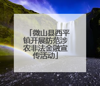 微山县西平镇开展防范涉农非法金融宣传活动