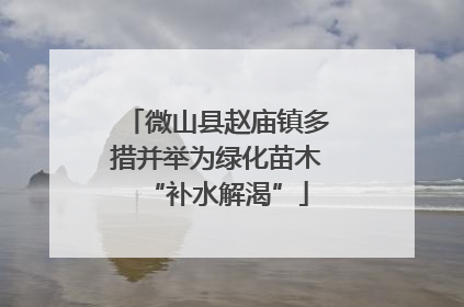 微山县赵庙镇多措并举为绿化苗木“补水解渴”