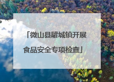 微山县驩城镇开展食品安全专项检查