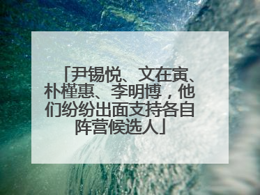 尹锡悦、文在寅、朴槿惠、李明博，他们纷纷出面支持各自阵营候选人