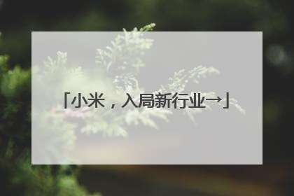 小米，入局新行业→