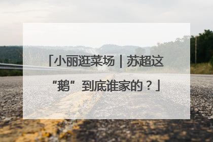 小丽逛菜场｜苏超这“鹅”到底谁家的？
