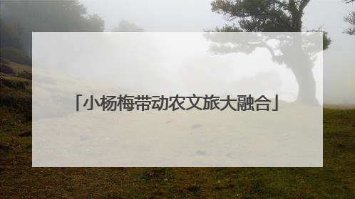 小杨梅带动农文旅大融合