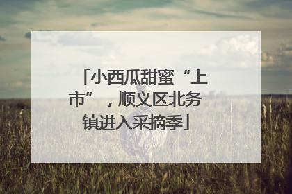 小西瓜甜蜜“上市”，顺义区北务镇进入采摘季