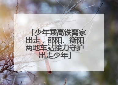 少年乘高铁离家出走，邵阳、衡阳两地车站接力守护出走少年