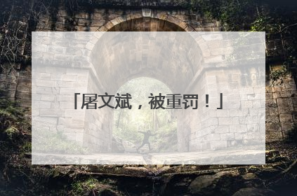 屠文斌，被重罚！