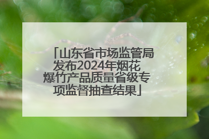 山东省市场监管局发布2024年烟花爆竹产品质量省级专项监督抽查结果