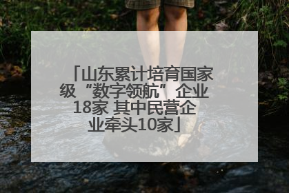 山东累计培育国家级“数字领航”企业18家 其中民营企业牵头10家