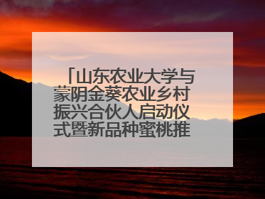 山东农业大学与蒙阴金葵农业乡村振兴合伙人启动仪式暨新品种蜜桃推介活动举行