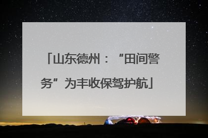 山东德州：“田间警务”为丰收保驾护航