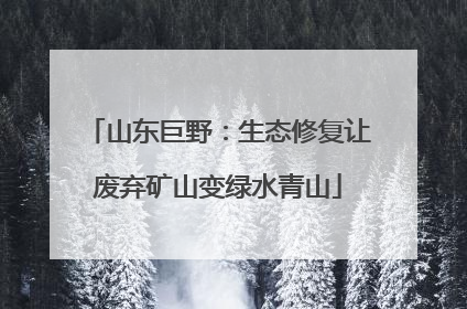 山东巨野：生态修复让废弃矿山变绿水青山