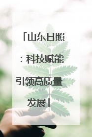 山东日照：科技赋能引领高质量发展