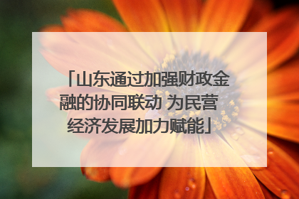 山东通过加强财政金融的协同联动 为民营经济发展加力赋能