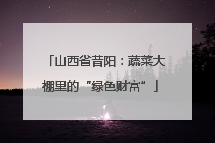 山西省昔阳：蔬菜大棚里的“绿色财富”