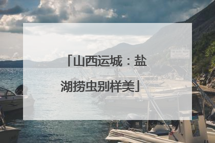 山西运城：盐湖捞虫别样美