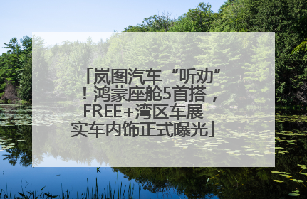 岚图汽车“听劝”！鸿蒙座舱5首搭，FREE+湾区车展实车内饰正式曝光