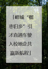 峄城“榴枣归乡”引才直通车驶入校地企共赢新航程