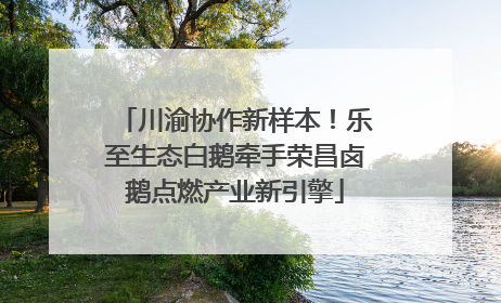 川渝协作新样本！乐至生态白鹅牵手荣昌卤鹅点燃产业新引擎