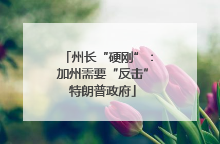 州长“硬刚”：加州需要“反击”特朗普政府
