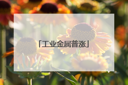 工业金属普涨