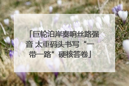 巨轮泊岸奏响丝路强音 太重码头书写“一带一路”硬核答卷