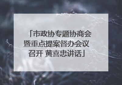 市政协专题协商会暨重点提案督办会议召开 黄喜忠讲话