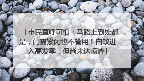 市民直呼可怕：马路上到处都是，门窗紧闭也不管用！白蚁进入高发季，但尚未达顶峰