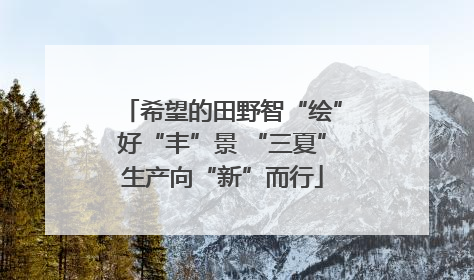 希望的田野智“绘”好“丰”景 “三夏”生产向“新”而行
