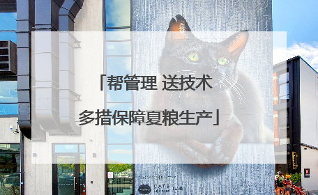 帮管理 送技术 多措保障夏粮生产