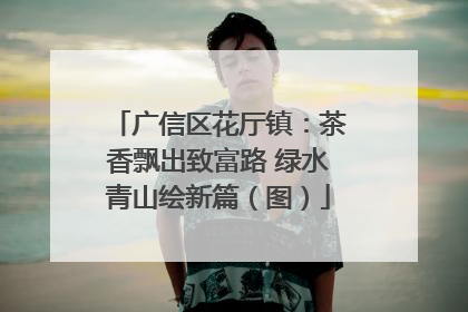 广信区花厅镇：茶香飘出致富路 绿水青山绘新篇（图）