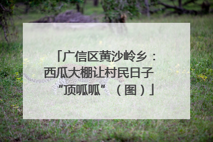 广信区黄沙岭乡：西瓜大棚让村民日子“顶呱呱”（图）