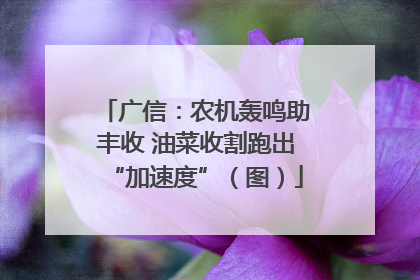 广信：农机轰鸣助丰收 油菜收割跑出“加速度”（图）