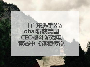 广东选手Xiaohai斩获美国CEO格斗游戏电竞赛事《饿狼传说》项目冠军