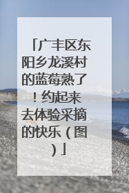 广丰区东阳乡龙溪村的蓝莓熟了！约起来 去体验采摘的快乐（图）