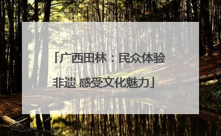 广西田林：民众体验非遗 感受文化魅力