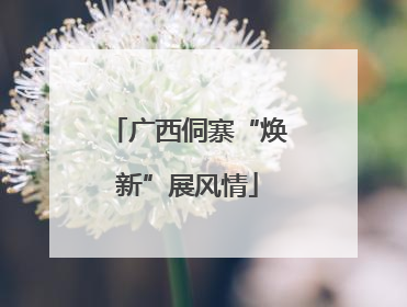 广西侗寨“焕新”展风情