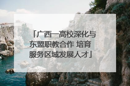广西一高校深化与东盟职教合作 培育服务区域发展人才