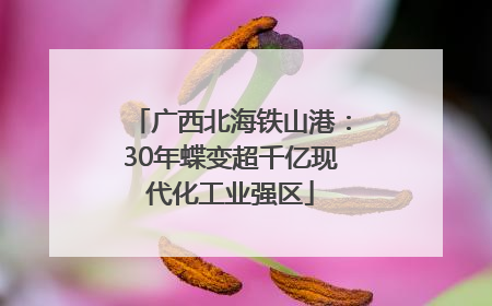 广西北海铁山港：30年蝶变超千亿现代化工业强区