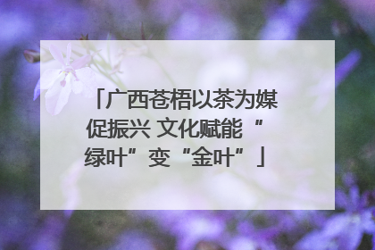 广西苍梧以茶为媒促振兴 文化赋能“绿叶”变“金叶”