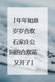 年年如意 岁岁合欢 石家庄公园的合欢花又开了