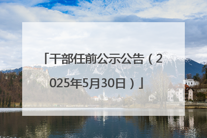 干部任前公示公告（2025年5月30日）