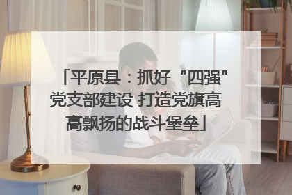 平原县：抓好“四强”党支部建设 打造党旗高高飘扬的战斗堡垒