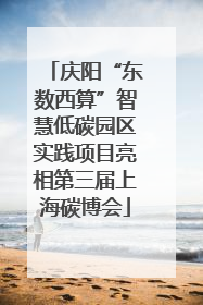 庆阳“东数西算”智慧低碳园区实践项目亮相第三届上海碳博会